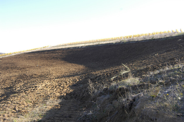 Vineyard Landslide Repair 2